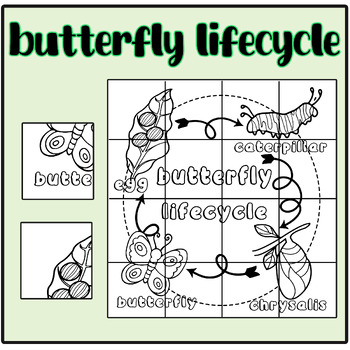 Butterfly life cycle collaborative Posters by Alphabet letters Art and 123