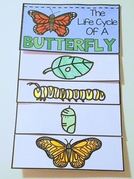 Butterfly life cycle flip book by AisforAdventuresofHomeschool | TpT