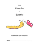 Butterfly life cycle investigation