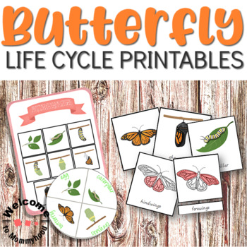 Preview of Butterfly life cycle printables and parts of a butterfly