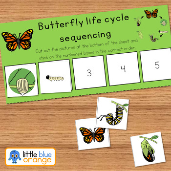 Butterfly life cycle sequencing activity worksheet by Little Blue Orange