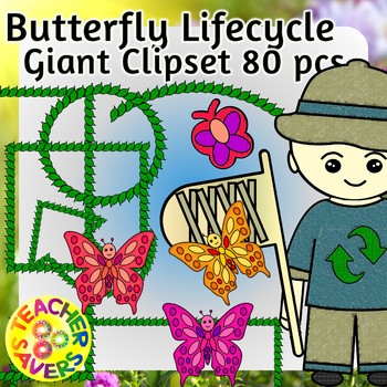 Preview of Butterfly lifecycle