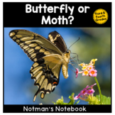 Butterfly or Moth Non-Fiction Reading