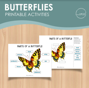 Butterfly printable lesson, Animal lesson plan, Montessori printable unit