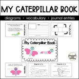 My Caterpillar Book