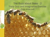 Buzz About Bees - Part 2