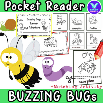 Preview of Buzzing Bugs Summer Adventure GAME Pocket Chart Match Vocab Kindergarten NO PREP