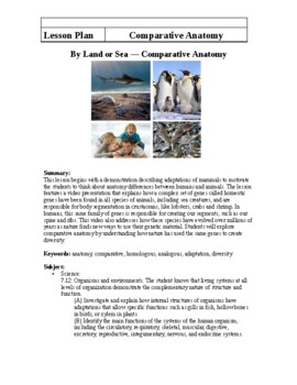 Preview of By Land or Sea: Comparative Anatomy Lesson with links(editable resource)