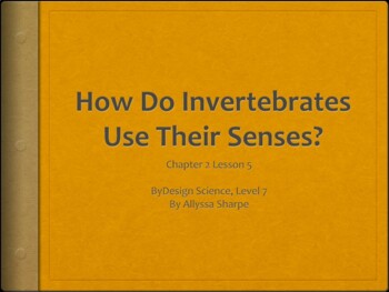 Preview of ByDesign Science: Chapter 2 Characteristics of Invertebrates [Lesson 5]