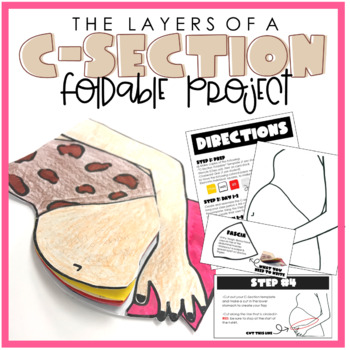 Preview of Layers C-Section Foldable Project W/ Guided Notes