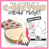 Layers C-Section Foldable Project W/ Guided Notes