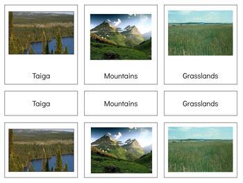 Preview of C006 (GOOGLE): BIOMES (8 major) (3 part cards) (3pgs) 