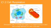 C1.2 Cell Respiration Slideshow, Guided Notes, and Key BUNDLE