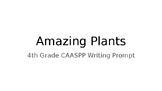 CAASPP 4th Grade Writing Prompt