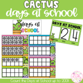 CACTUS Days at School Display | 100 Days of School