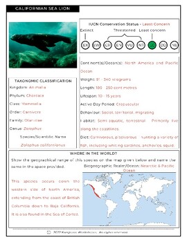 CALIFORNIAN SEA LION - Fact File Worksheet - Research Sheet | TPT