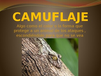 Preview of CAMOUFLAGE - CAMUFLAJE: How Do I Hide myself? - SPANISH