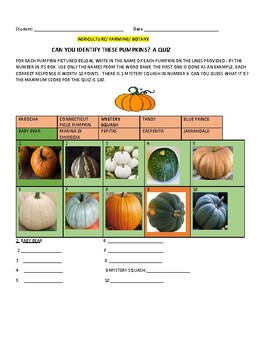 Preview of CAN YOU IDENTIFY THESE PUMPKINS? A BOTANY/ FARMING QUIZ W/ ANS.KEY