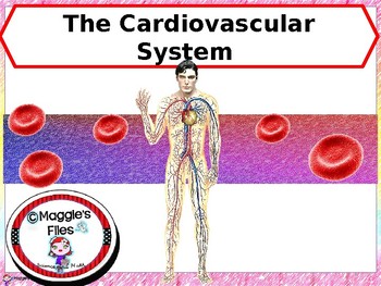 cardiovascular exercise