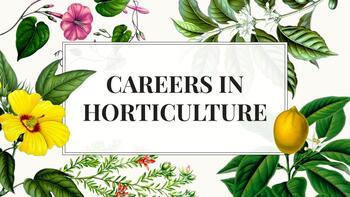 Preview of CAREERS IN PLANT SCIENCE - COLLABORATIVE SLIDES 