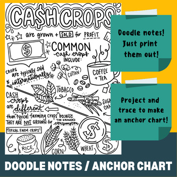 Preview of CASH CROPS - Doodle Notes / ISN / Anchor Chart / Printable