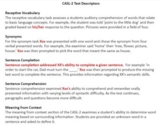 CASL-2 Test Descriptors 