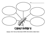 CATERPILLARS Nonfiction Graphic Organizer