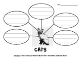 CATS Nonfiction Graphic Organizer