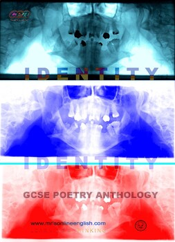 Preview of Identity Poetry Anthology Revision/Study Guide (CCEA Board).