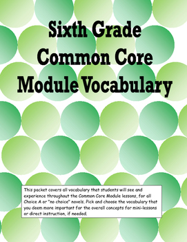Preview of Sixth Grade Common Core Module Vocabulary