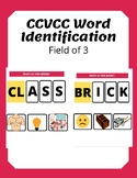 CCVCC Word Identification - Functional English - Special E