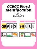 CCVCC Word Identification Set 3 - Functional English - Spe