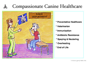 Preview of CELEBRATE WORLD ANIMAL DAY: Compassionate Canine Healthcare