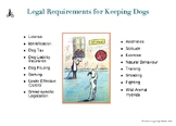 CELEBRATE WORLD ANIMAL DAY: Legal Requirements for Keeping Dogs