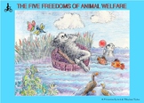 CELEBRATE WORLD ANIMAL DAY:  The Five Freedoms for Animal Welfare