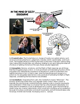 Preview of CELEBRITY BRAIN PROJECT (Psychology)