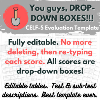 Preview of CELF-5 Drop-box TEMPLATES! 5-8 and 9-21 Fully editable!