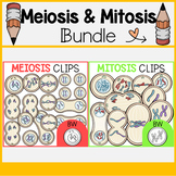 Cell Division Clip Art Bundle | Meiosis and Mitosis Clip Art