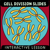 CELL DIVISION LESSON: Google Slides and revision task