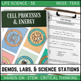 Cell Processes & Energy - Demos, Labs, and Science Stations