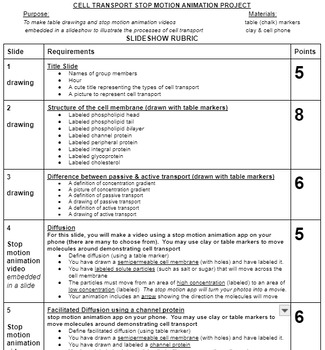 Preview of CELL TRANSPORT TABLE DRAWINGS & STOP MOTION ANIMATION PROJECT