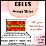 CELL TYPES AND STRUCTURE: Google Slides and team activities!