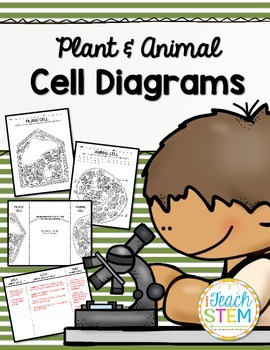 Preview of CELLS Blank Plant & Animal Cell Diagrams: Note Taking/Assessment