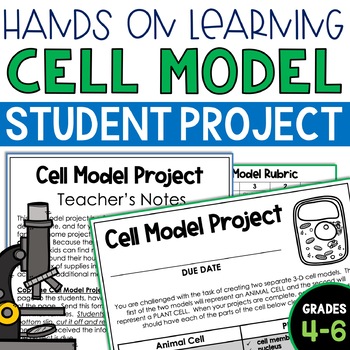 Cell Model Project Plant and Animal Cells 3D Model for the Middle Grades