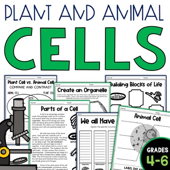 Preview of Plant Cells and Animal Cells Organelles Membrane Cell Structure and Function