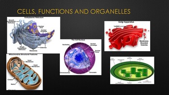 Preview of CELLS, FUNCTIONS AND ORGANELLES