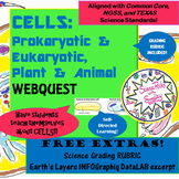 CELLS-Prokaryotic & Eukaryotic-Animal & Plant- Amazing WEBQUEST!