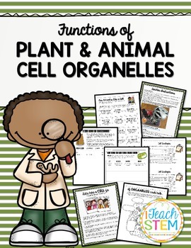 Preview of CELLS "Super Cell" Project & MORE - Structures/Functions of Plant & Animal Cells