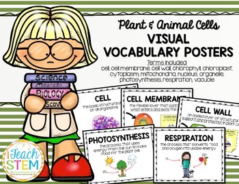 Preview of STEM Visual Vocabulary Posters - Plant and Animal Cells