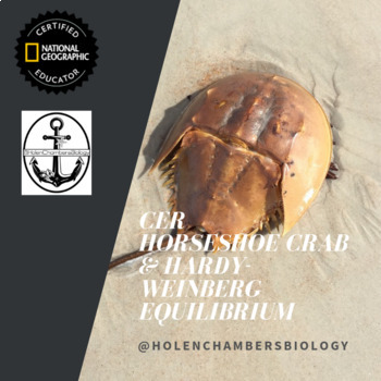 LOVE Block Letters — The Horseshoe Crab